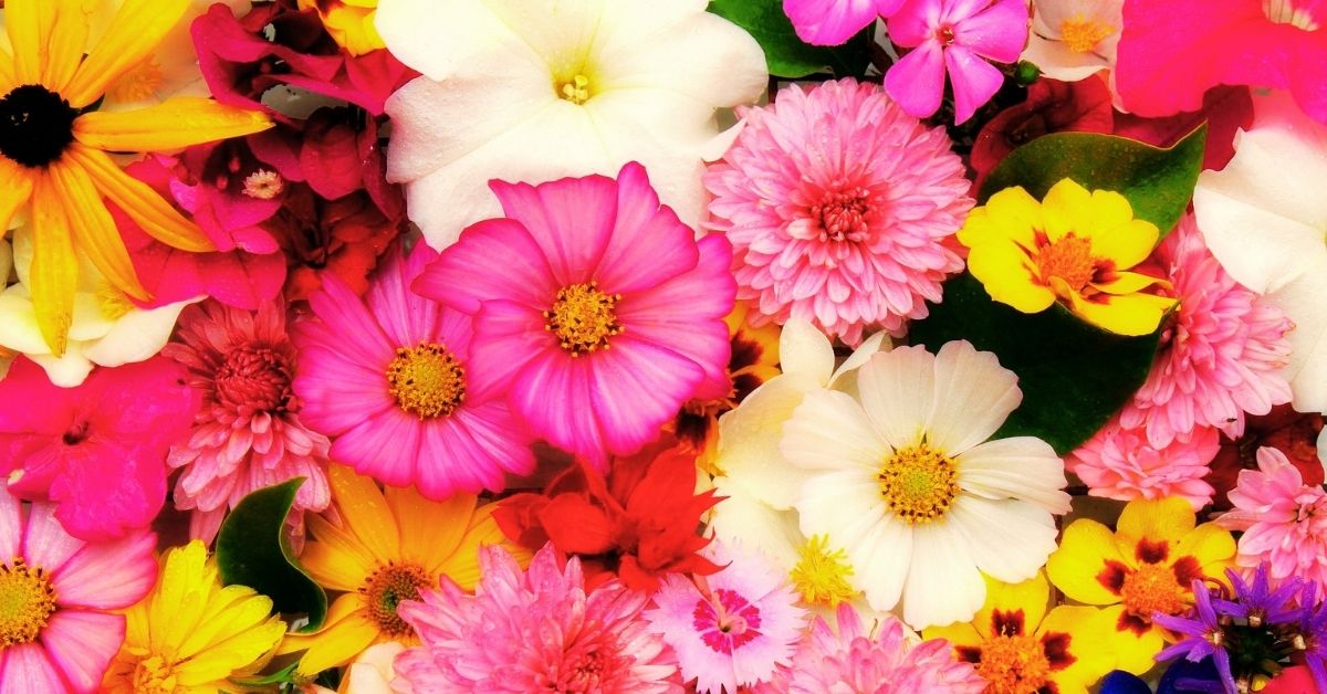 Cgm牧師 さとるの元気が出るブログ